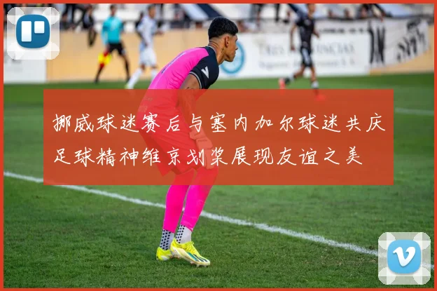 挪威球迷赛后与塞内加尔球迷共庆足球精神维京划桨展现友谊之美